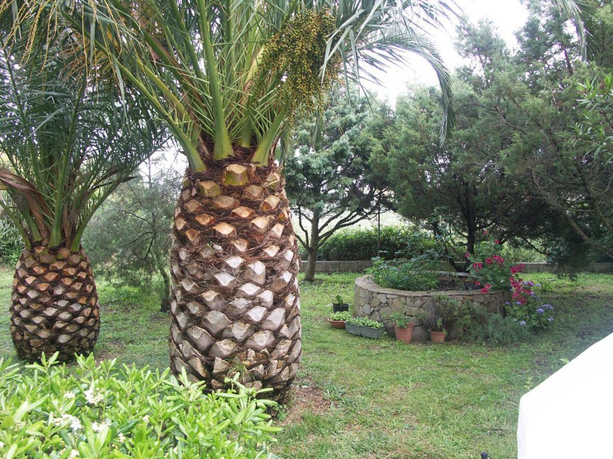 Locanda Del Pescatore Apartment Palmadula Екстериор снимка