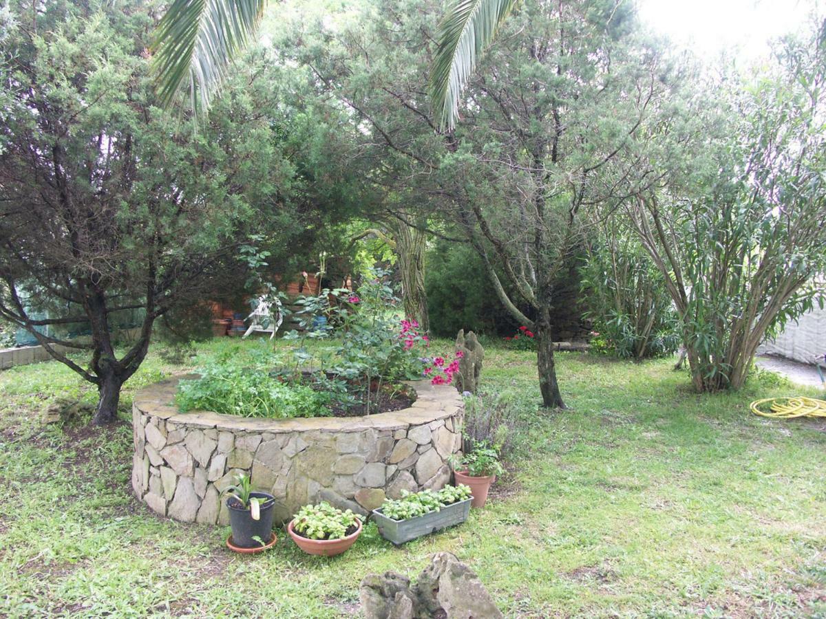 Locanda Del Pescatore Apartment Palmadula Екстериор снимка